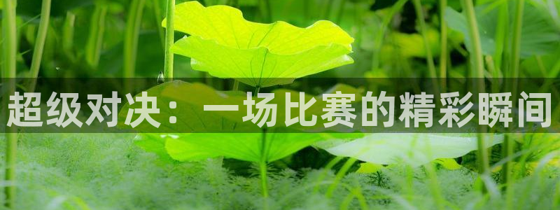 超级对决：一场比赛的精彩瞬间
