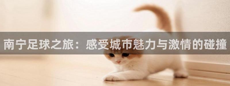 球速体育买球：南宁足球之旅：感受城市魅力与激情的碰撞