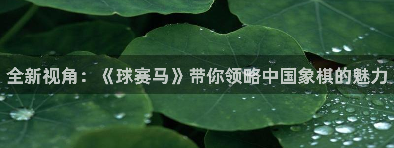 球速体育网址：全新视角：《球赛马》带你领略中国象棋的魅力