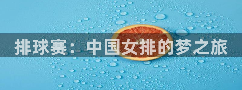 球速体育登录入口网站：排球赛：中国女排的梦之旅
